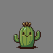 Cactus jumping up into frame