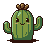 Cactus tight frame